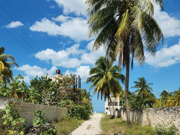 Top 10 Real Estate Scams in Samana + How to Avoid Them
